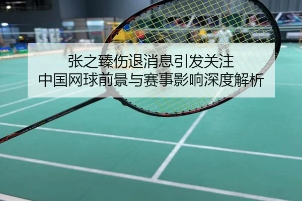 张之臻伤退消息引发关注 中国网球前景与赛事影响深度解析