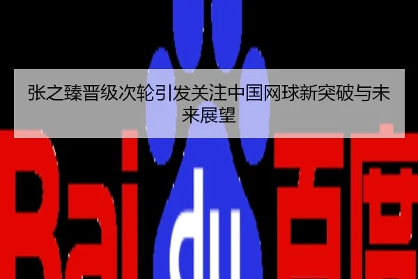张之臻晋级次轮引发关注中国网球新突破与未来展望